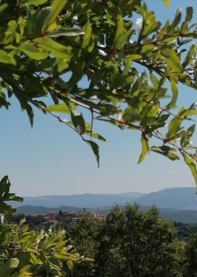 Beautiful Apartment With Exclusive Garden And Terrace Monteverdi Marittimo Kültér fotó